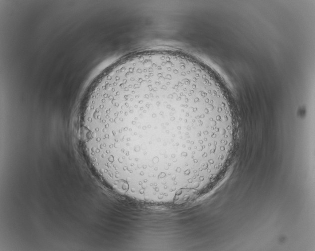 X0000116671317201001251230