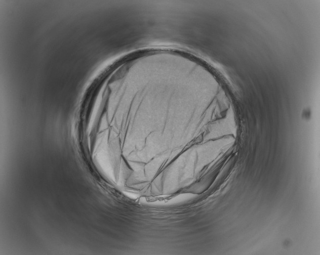 X0000116671319201001251230
