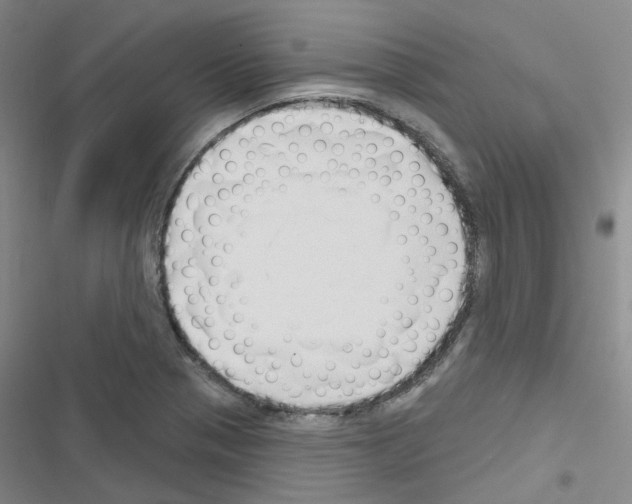 X0000116671321201001251230
