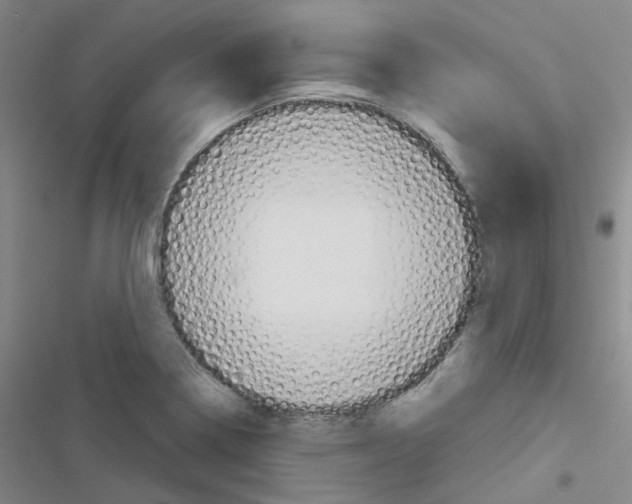X0000116671322201001251231