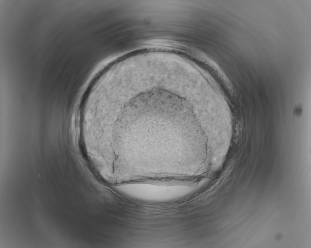 X0000116671323201001251231