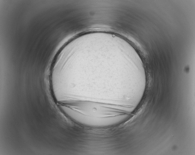 X0000116671325201001251231