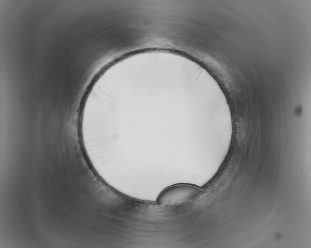 X0000116671326201001251231