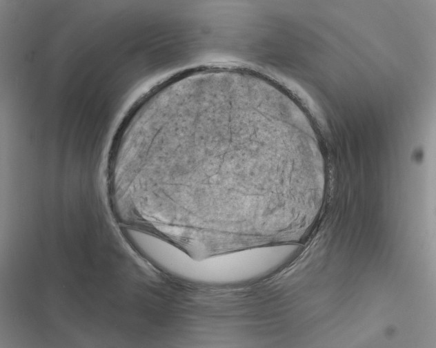 X0000116671327201001251231
