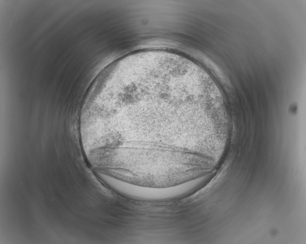 X0000116671329201001251231