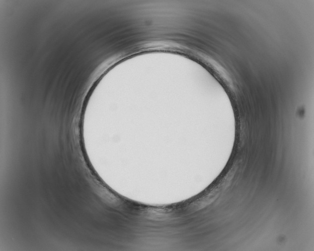 X0000116671330201001251231