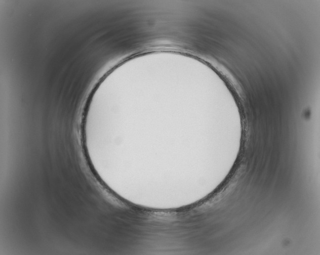 X0000116671333201001251231
