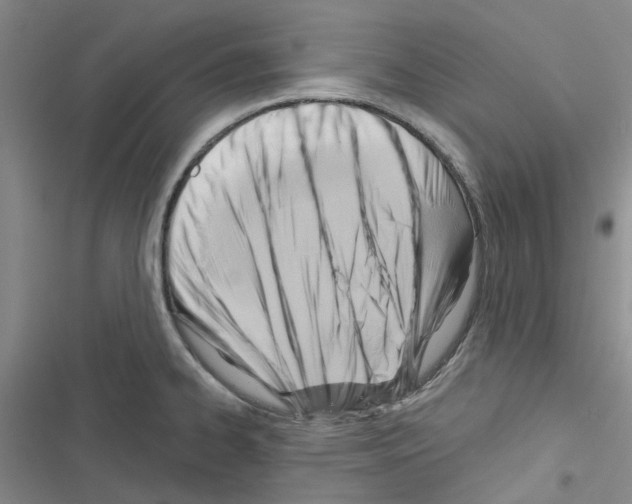 X0000116671334201001251231