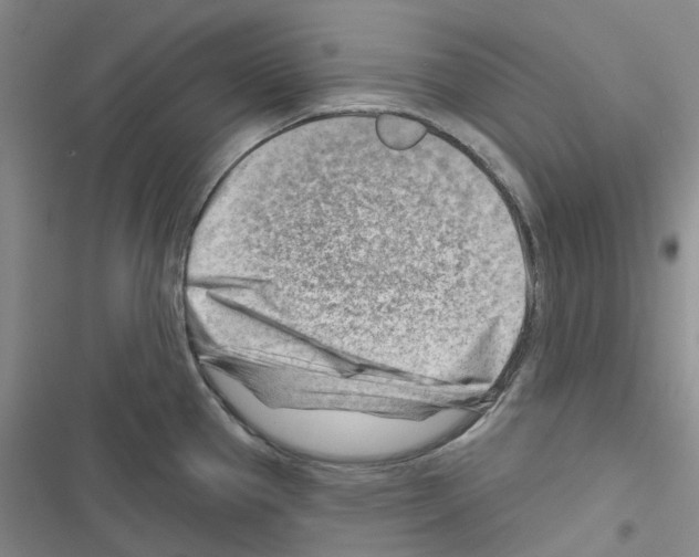 X0000116671337201001251231