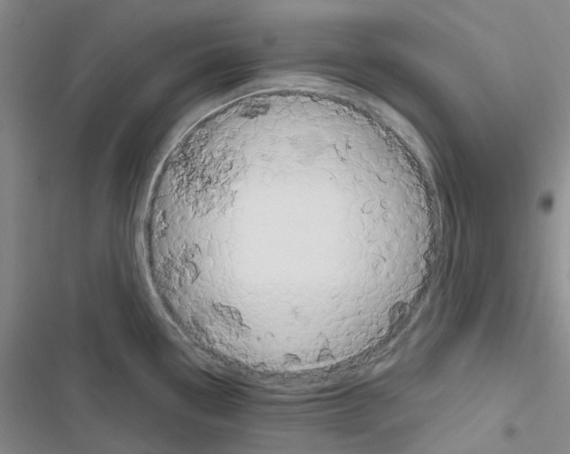 X0000116671338201001251231