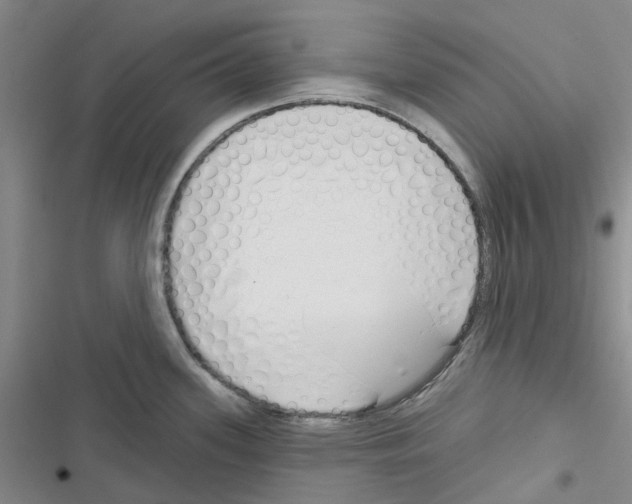 X0000116671339201001251231