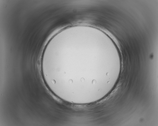 X0000116671341201001251231
