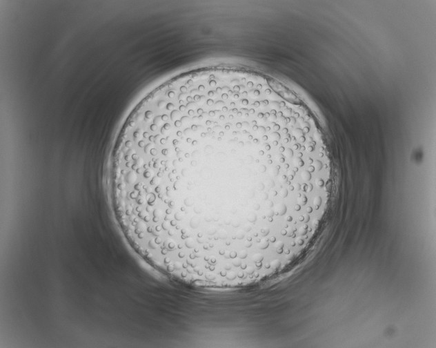 X0000116671343201001251231