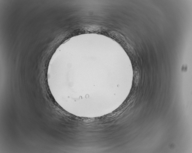 X0000116671345201001251230