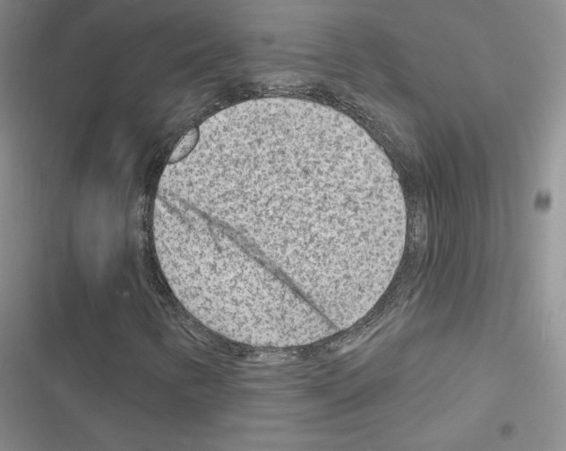 X0000116671346201001251230