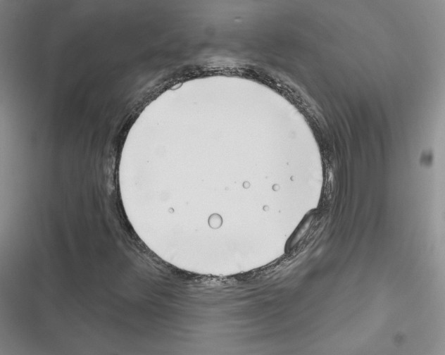 X0000116671348201001251230