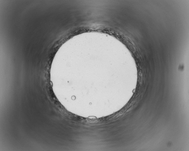 X0000116671349201001251230