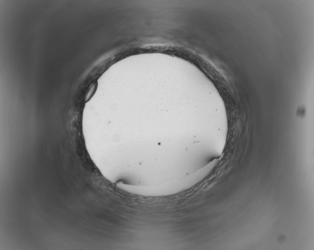 X0000116671351201001251230