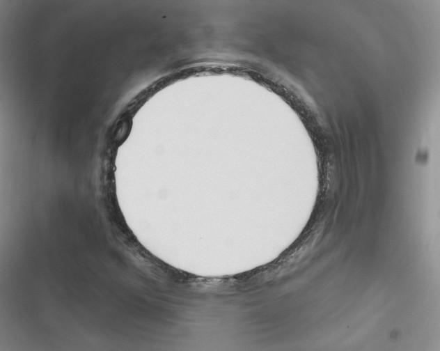 X0000116671352201001251230
