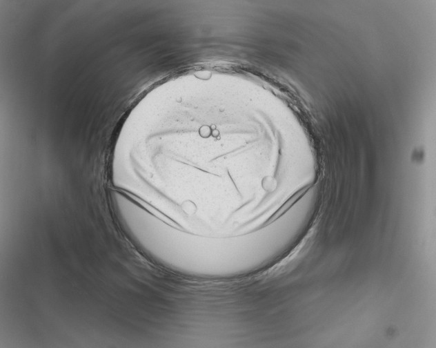 X0000116671353201001251230