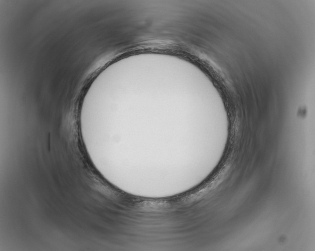 X0000116671354201001251230
