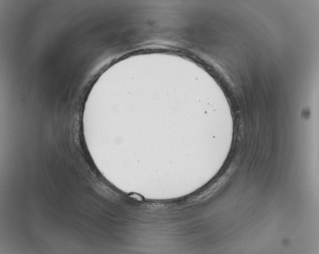 X0000116671355201001251230