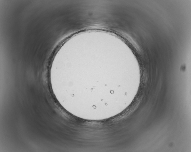 X0000116671356201001251230