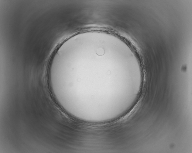 X0000116671357201001251230