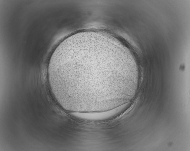 X0000116671358201001251230