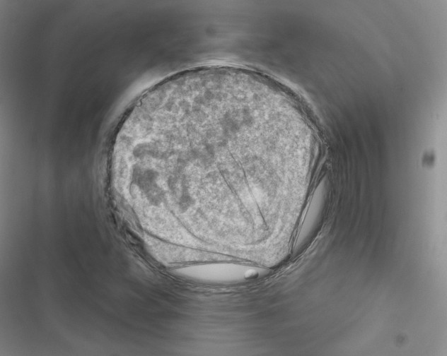 X0000116671359201001251230