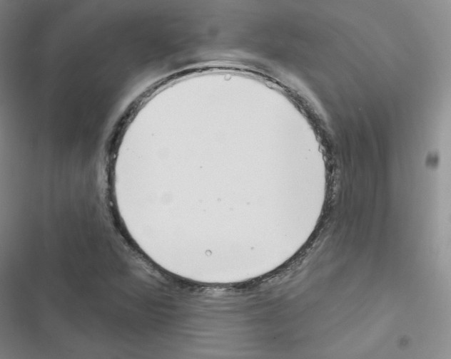 X0000116671360201001251230