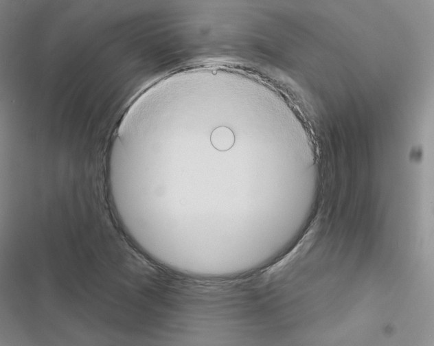 X0000116671361201001251230