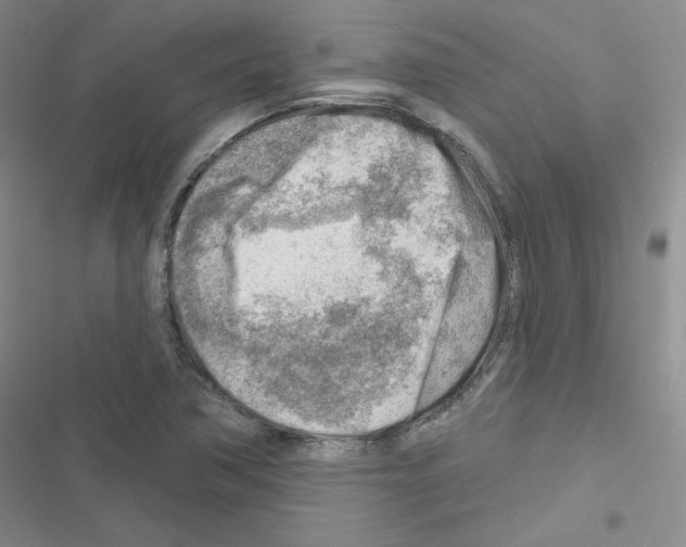 X0000116671362201001251230