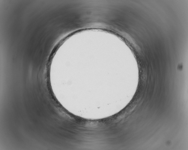 X0000116671364201001251230
