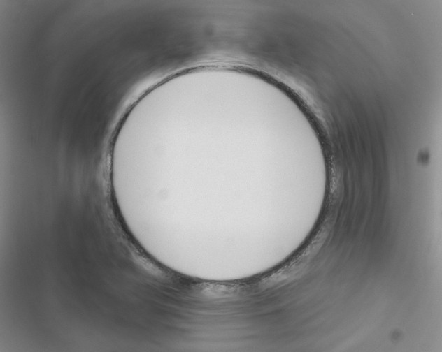 X0000116671366201001251230