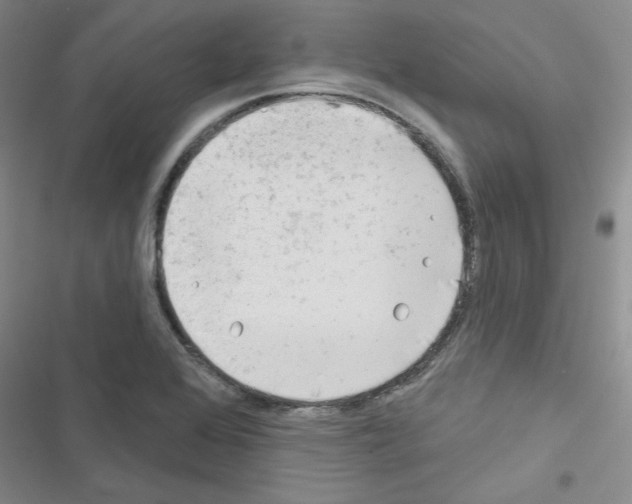 X0000116671368201001251230