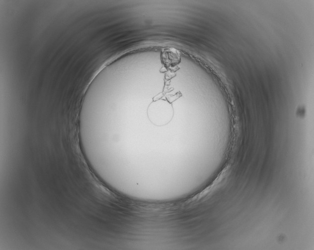 X0000116671369201001251230