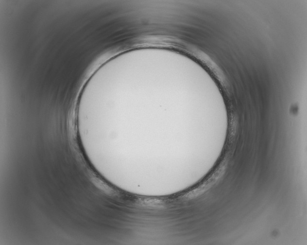 X0000116671370201001251230