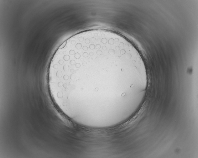 X0000116671375201001251230