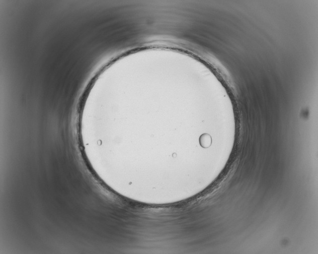 X0000116671376201001251230