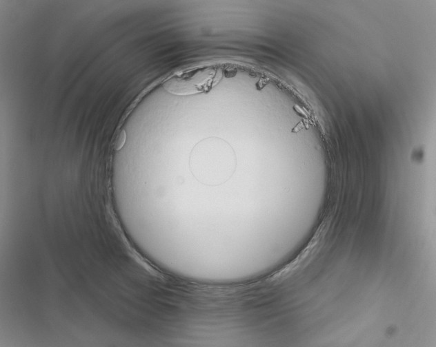 X0000116671377201001251230