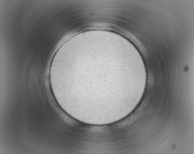 X0000116671378201001251230