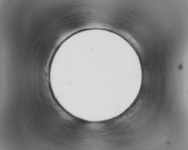 X0000116671380201001251230
