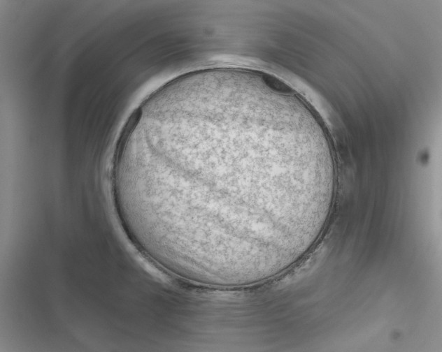 X0000116671381201001251230