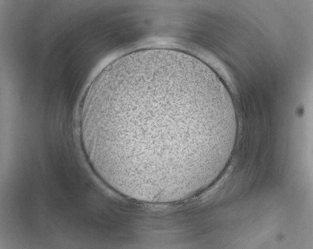 X0000116671382201001251230