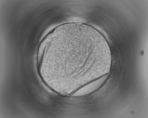 X0000116671383201001251230