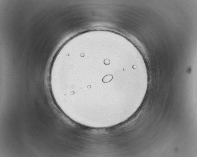 X0000116671384201001251230