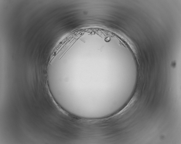 X0000116671385201001251230