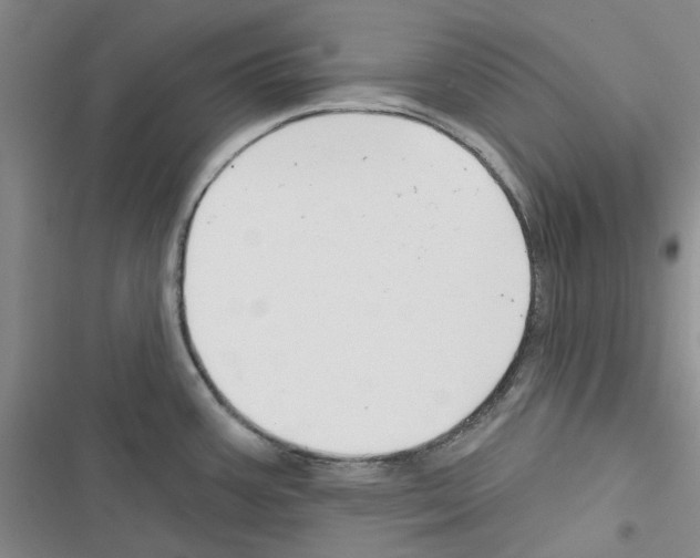 X0000116671387201001251230