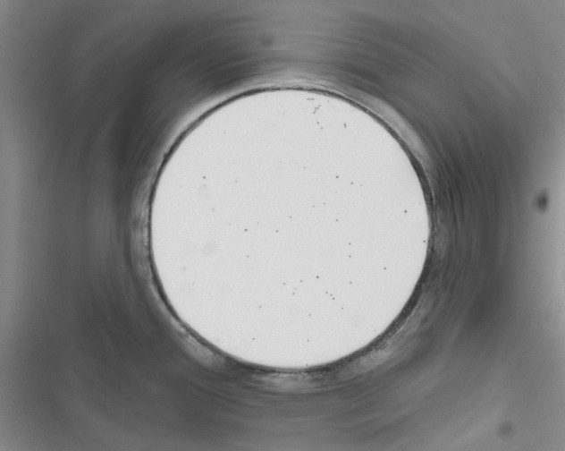 X0000116671388201001251230